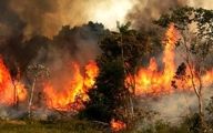 شعله آتش سوزی های سودجویانه بر دامان جنگل های ایران / لزوم تشدید مجازات متخلفان 