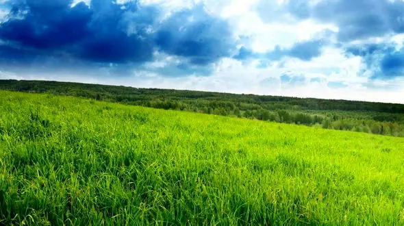 زندگی هر روزش زیباست