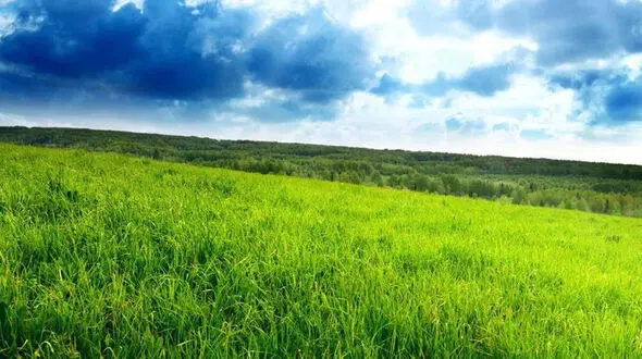 زندگی هر روزش زیباست