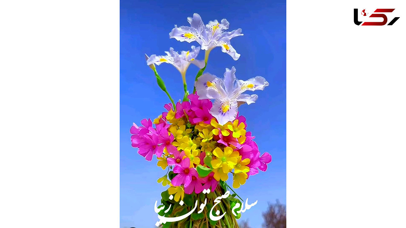 فال امروز شما دوست عزیز / 30 بهمن + فیلم