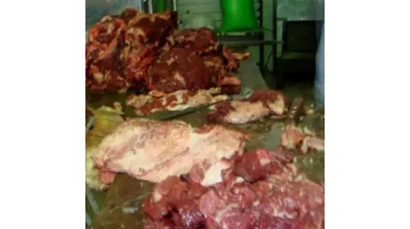 تولید سوسیس و کالباس با گوشت‌های فاسد/ کشف ۳ تن و ۸۰۰ کیلو گوشت فاسد از داخل کارخانه