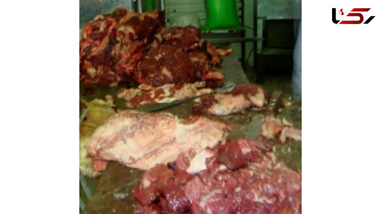 تولید سوسیس و کالباس با گوشت‌های فاسد/ کشف ۳ تن و ۸۰۰ کیلو گوشت فاسد از داخل کارخانه