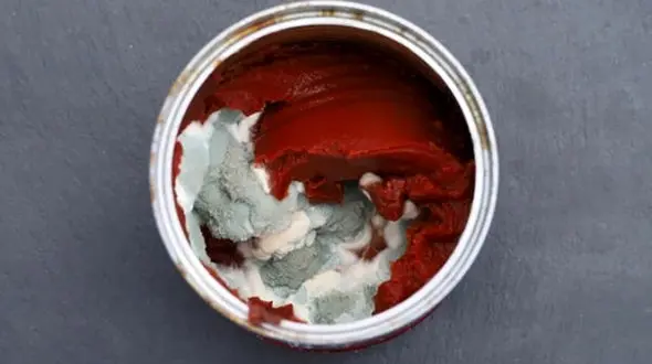 نکات کلیدی درباره کپک رب ، آبغوره و ترشی