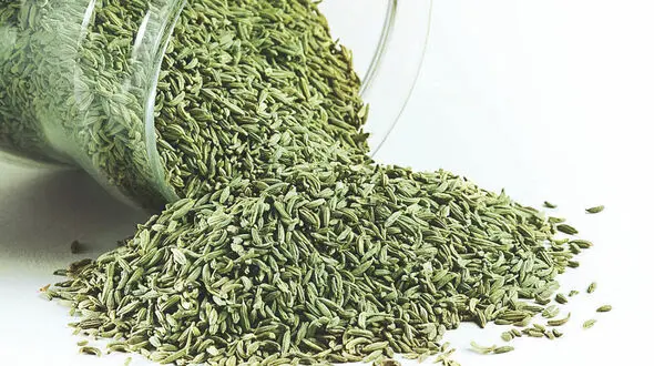 تنظیم قاعدگی با رازیانه