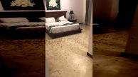 حمله سوسک ها به یک اتاق هتل / زن و شوهر شوکه شدند+ فیلم