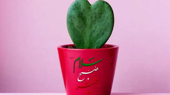 فال روزانه شخصی / 28 دی ماه + فیلم