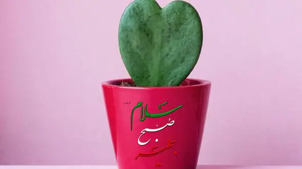 فال روزانه شخصی / 28 دی ماه + فیلم
