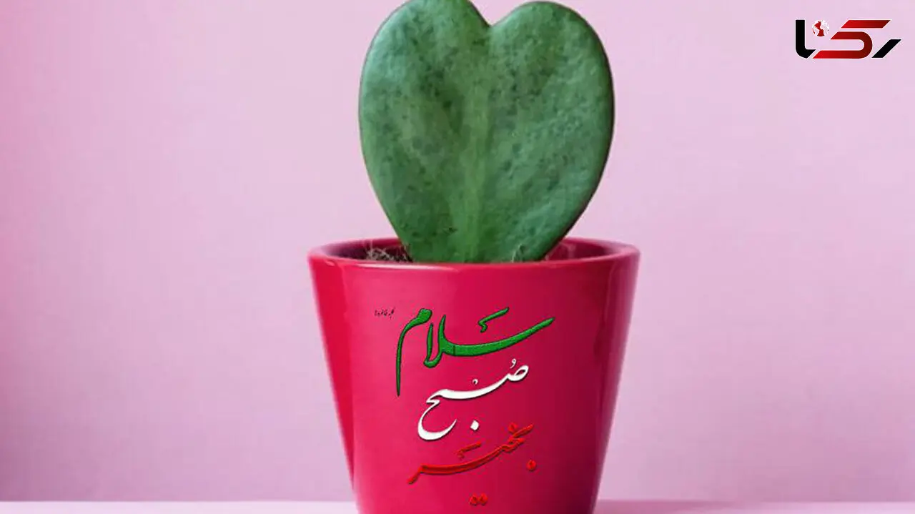 فال روزانه شخصی / 28 دی ماه + فیلم