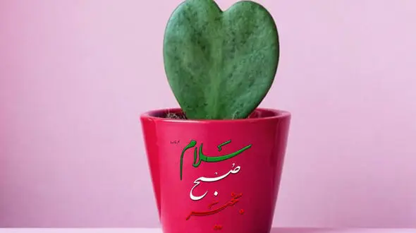 فال روزانه شخصی / 28 دی ماه + فیلم