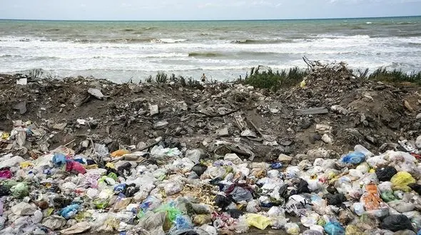 درختان جنگل های مازندران به زباله تبدیل می شوند / نصف شدن مساحت جنگل های مازندران در 50 سال گذشته + فیلم