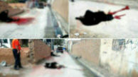 عکس جنازه خونین زن چادری وسط کوچه / مرد عصبانی چرا همسرش را در خیابان امام کشت؟ 