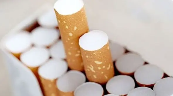 اعضای باند قاچاق سیگار به ۱۰ سال زندان محکوم شدند