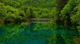 تعبیر فال آی چینگ امروز 18 شهریور ماه