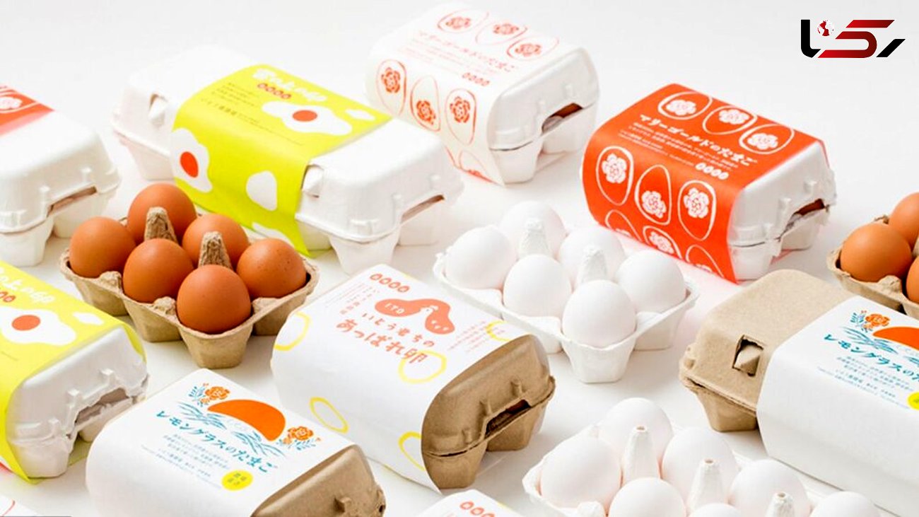 ۳ واحد بسته‌بندی تخم‌مرغ در لرستان فعالیت می‌کنند