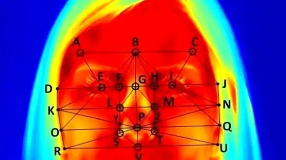 علت یخ زدن نوک بینی کشف شد!