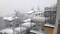 ببینید/ بارش زیبای برف در تهران + فیلم
