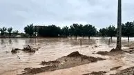 بارندگی شدید؛ فرماندار قشم دستور تخلیه طولا را صادر کرد