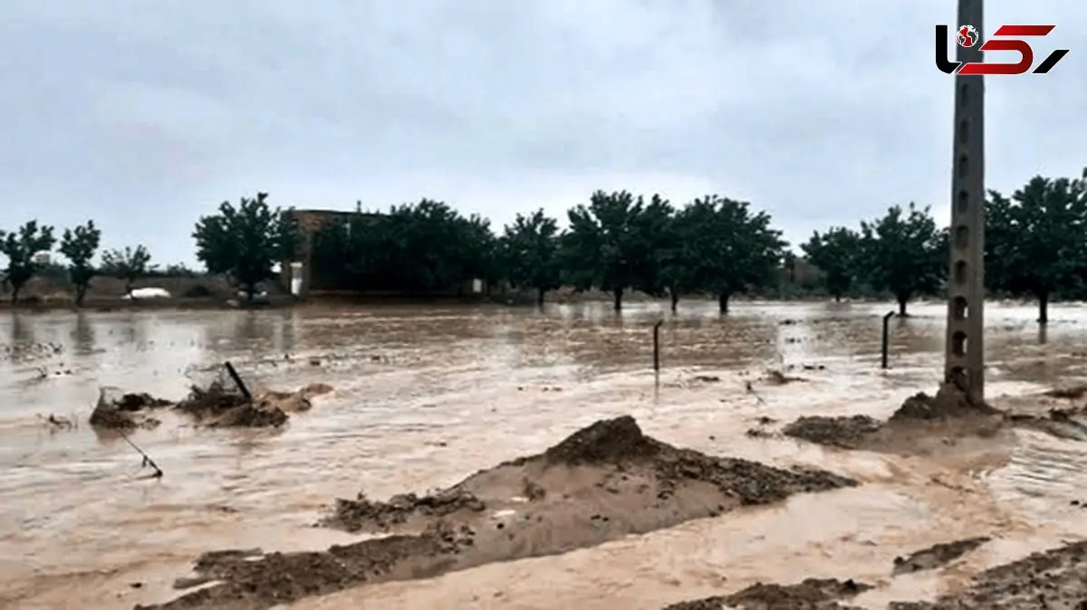 بارندگی شدید؛ فرماندار قشم دستور تخلیه طولا را صادر کرد
