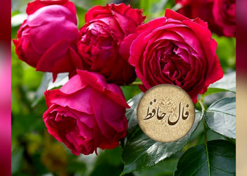 فال حافظ با تفسیر در 22 اردیبهشت + فیلم