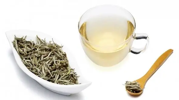 رازهای چای سفید؛ خاصیت‌ های طلایی برای بدن و ذهن