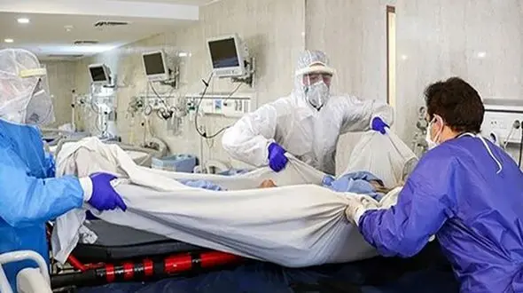 عروس و داماد بوشهری در آی سی یو بیمارستان / اتفاق ناباورانه در جشن عروسی