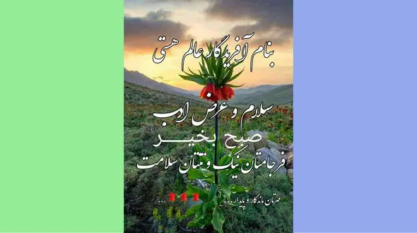 فال روزانه شخصی / 13 بهمن ماه + فیلم