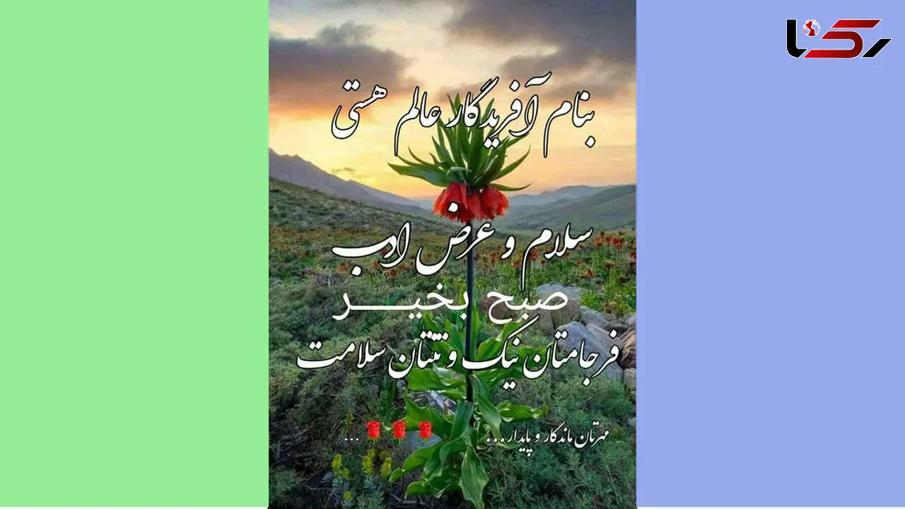 فال روزانه شخصی / 13 بهمن ماه + فیلم