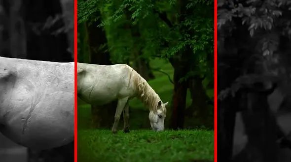 فیلم زیبایی‌های مازندران در شهسوار