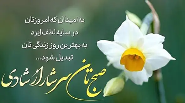 فال و طالع بینی امروز 29 خرداد 1405