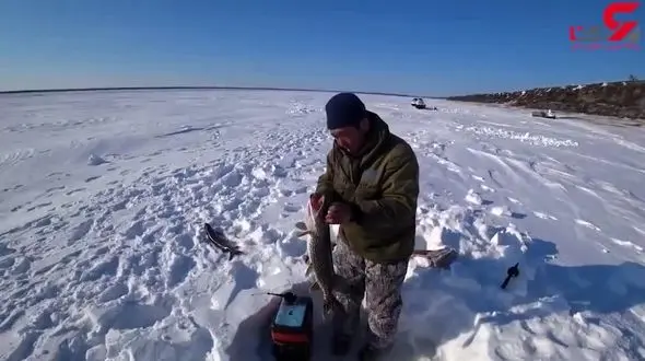 صید ماهی غول پیکر در روسیه + فیلم