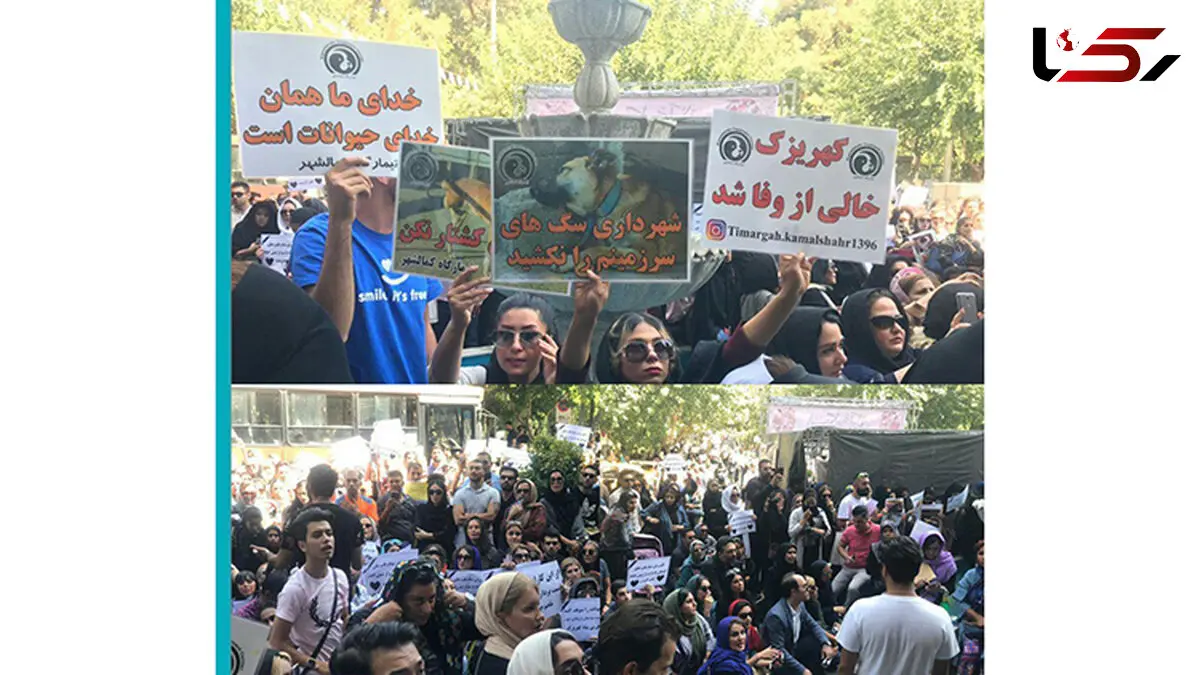 بازداشت اعتراض کنندگان به سگ کشی مقابل شهرداری تهران + عکس