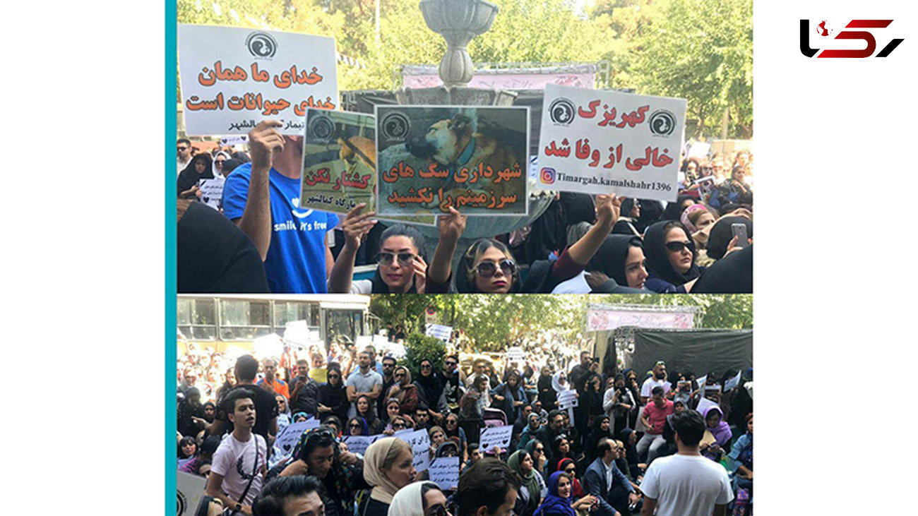  اعتراض به کشتار سگ ها در کهریزک در مقابل شهرداری تهران + فیلم و عکس