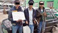 درگیری مسلحانه پلیس مشهد با «دزدان هپروتی»