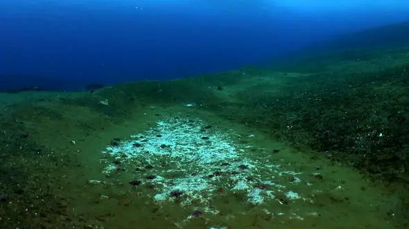 Antarctic Methane Leaks Raise Alarming Climate Concerns