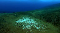 Antarctic Methane Leaks Raise Alarming Climate Concerns