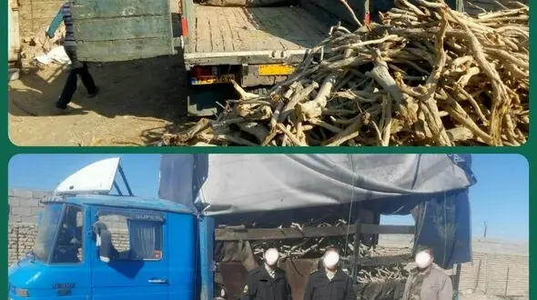 قاچاقچیان زغال تاغ در دام پلیس نیشابور + عکس