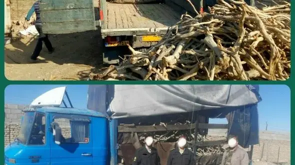 قاچاقچیان زغال تاغ در دام پلیس نیشابور + عکس