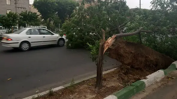 هشدار به 19 استان / طوفان در راه است

