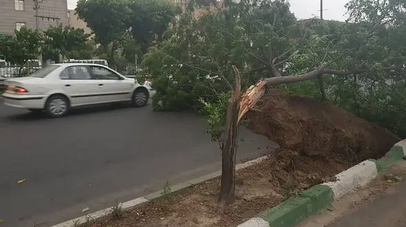 هشدار به 19 استان / طوفان در راه است

