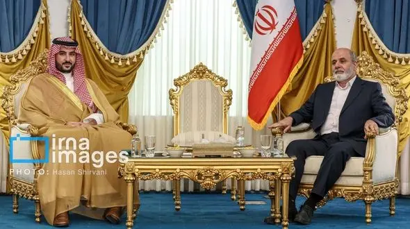 دیدار وزیر دفاع عربستان با دبیر شورای عالی امنیّت ملی