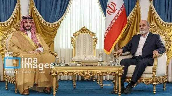 دیدار وزیر دفاع عربستان با دبیر شورای عالی امنیّت ملی