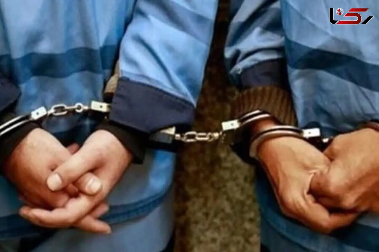 2 مرد سن بالای تهرانی فقط اسباب بازی می دزدیدند ! / 35 و 40 ساله بودند !