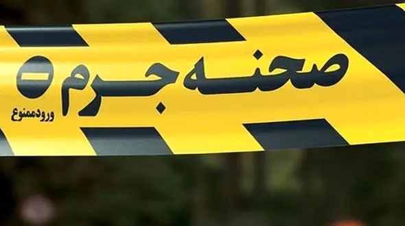 اجاره 2 آدمکش با یک میلیون تومان / 10 مرداد در ولنجک مردی را کشتند