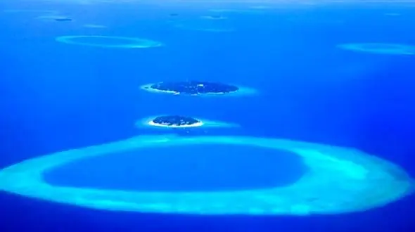 200 هزار ویروس در اقیانوس ها کشف شد