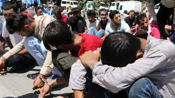 زمین گیری گرگ های خشمگین پایتخت در طرح ضربتی پلیس + فیلم گفتگو و عکس