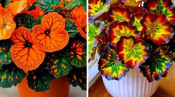 لذت تزئین میز با گل‌ های رنگارنگ: 15 ایده خاص و منحصر به فرد