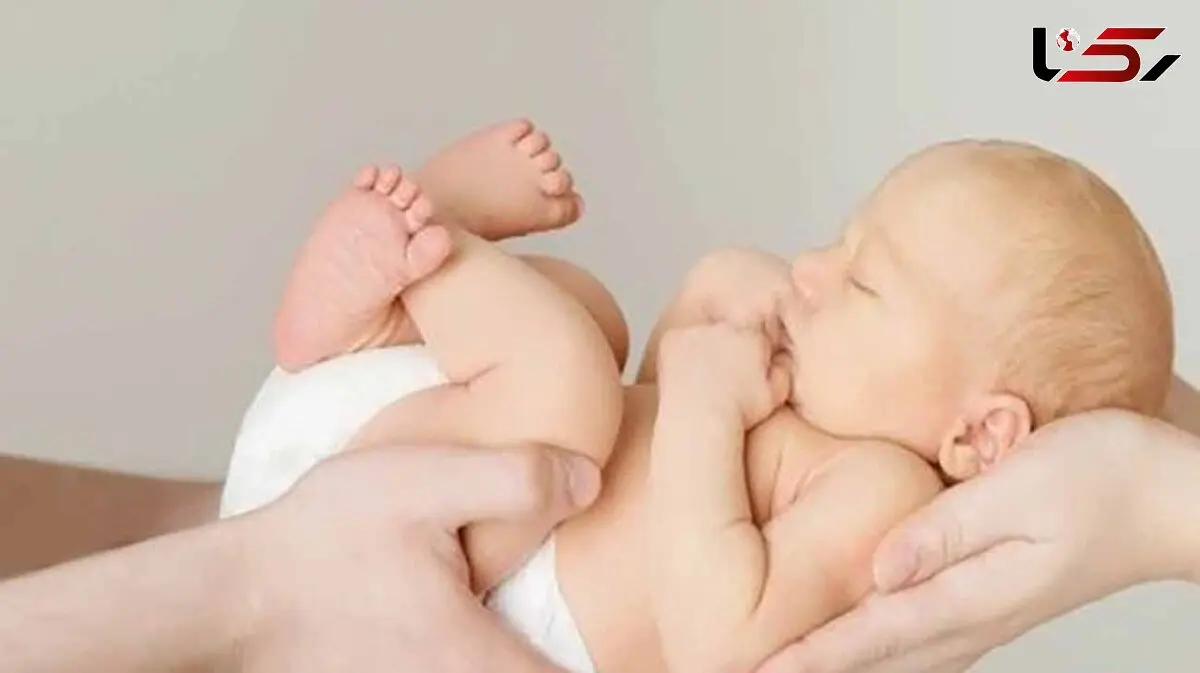 افزایش شانس باروری با کمک سلول های بنیادی خون قاعدگی / پاسخ به پرسش های مخاطبان