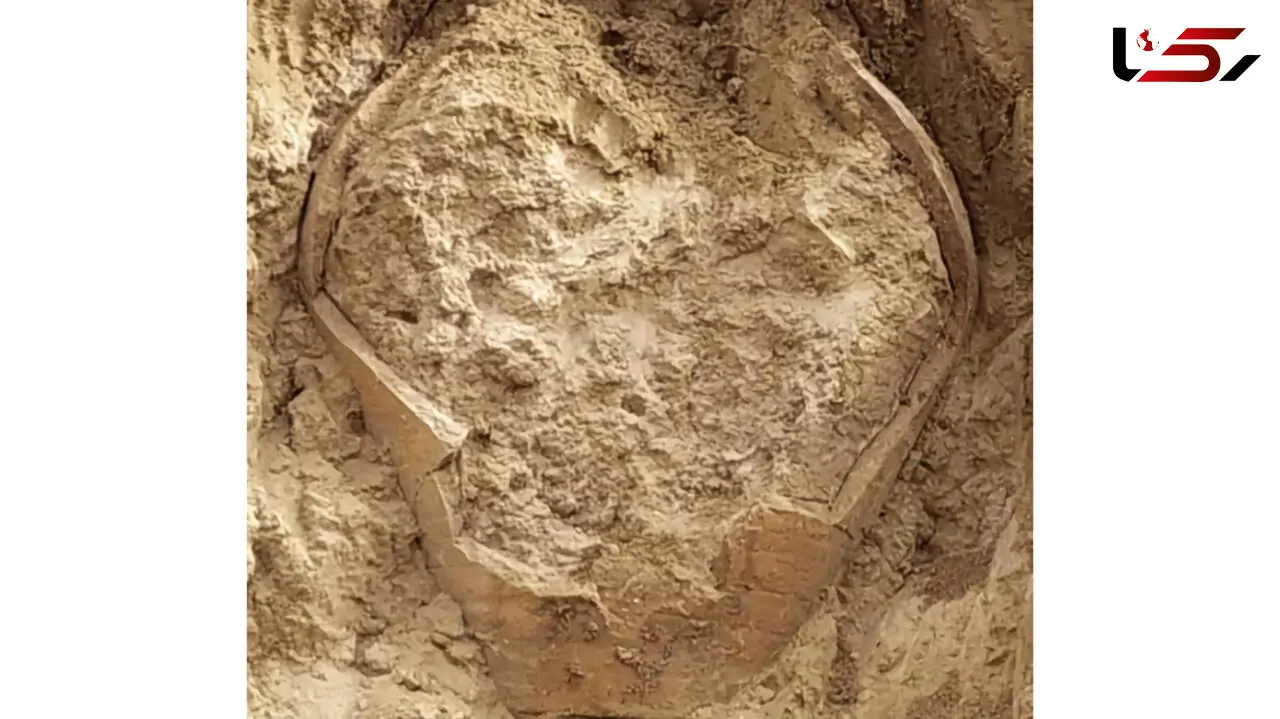 کشف کوزه سفالی دوره ساسانی در روستای دهقاید بوشهر