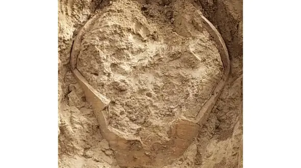 کشف کوزه سفالی دوره ساسانی در روستای دهقاید بوشهر