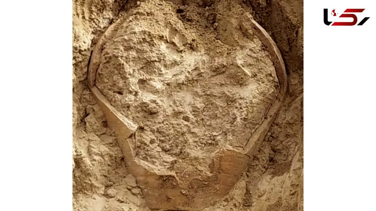 کشف کوزه سفالی دوره ساسانی در روستای دهقاید بوشهر